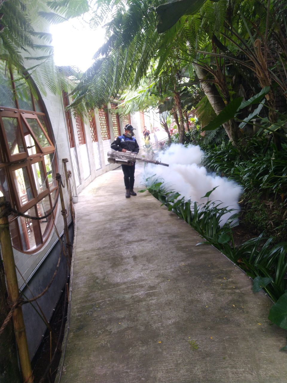 Thermal Fogging